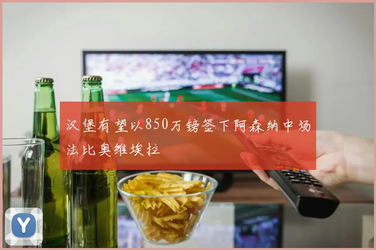 汉堡有望以850万镑签下阿森纳中场法比奥维埃拉